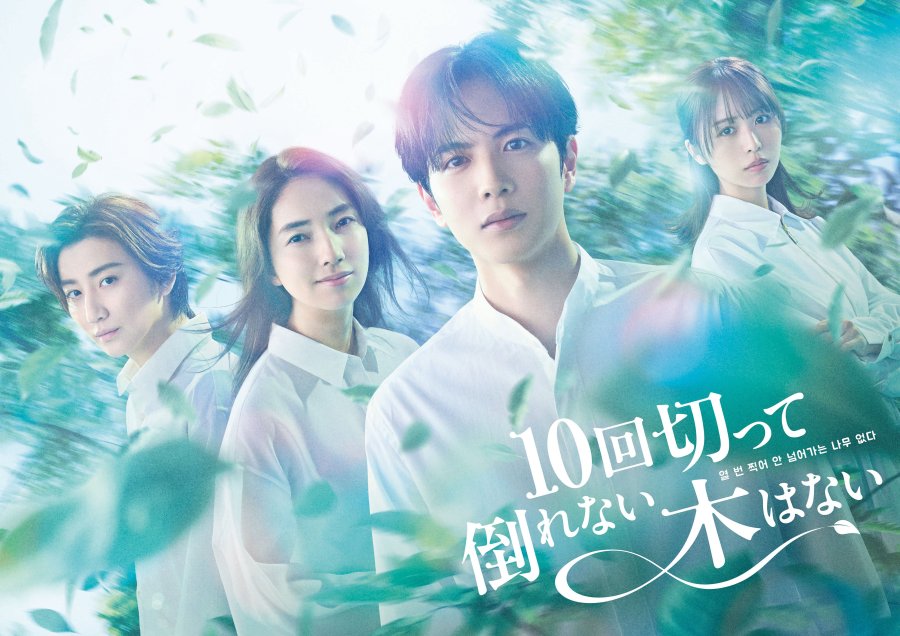 Новые японские сериалы: апрель 2026 года (часть 2)